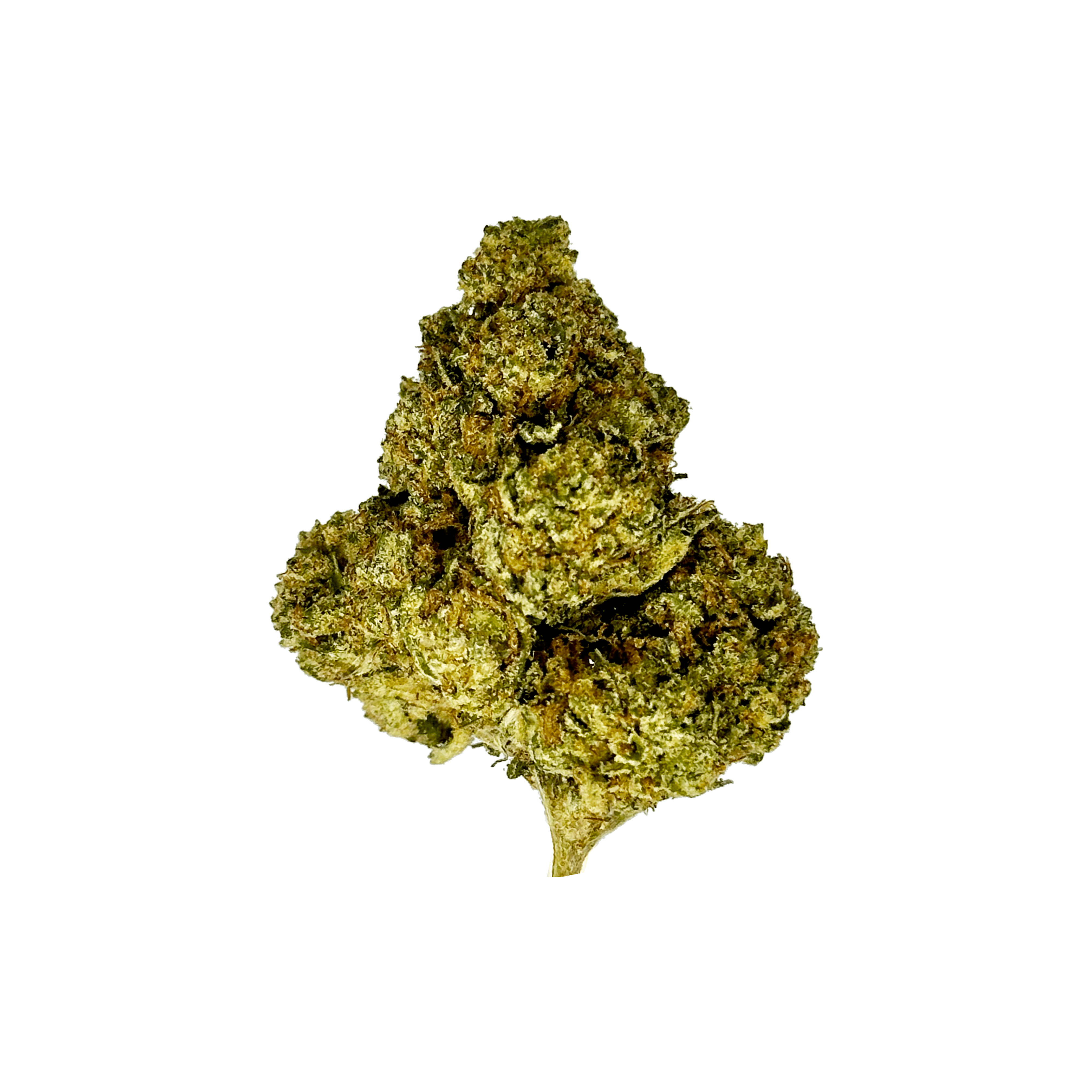 Citrus Blast strain - THCA Flower